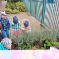 Poznajemy nasz ogród - sadzimy cebulki żonkili, foto nr 3, 